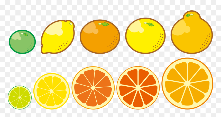 Fruits Big Image Png - Citrus Trees Clip Art, Transparent Png - citrus png