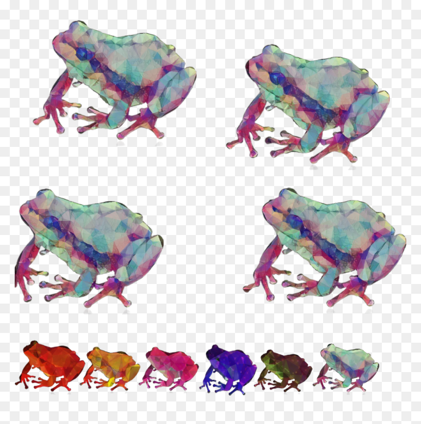 #frogs #crazy #creazyfrogs - Frog With White Background, HD Png Download - crazy frog png