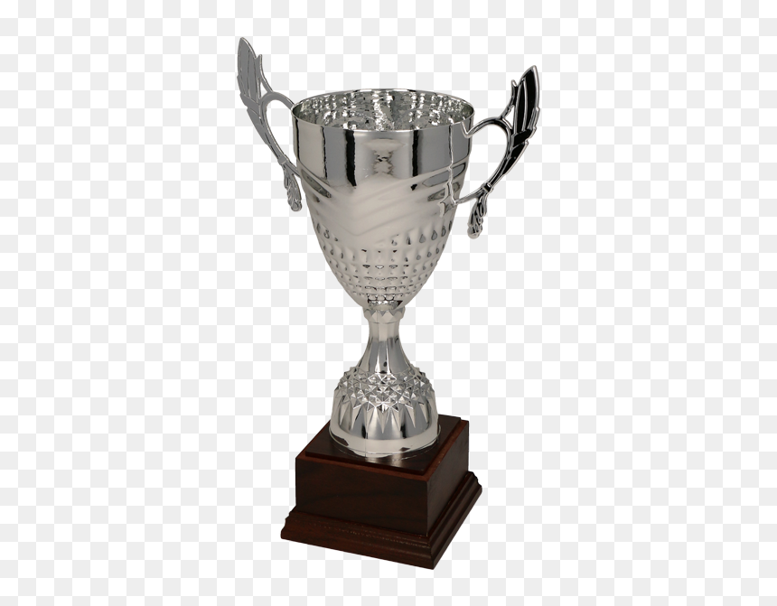 Trophy, HD Png Download - silver trophy png