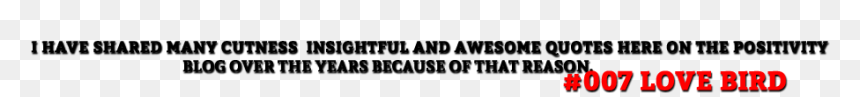 New Text Png - Carmine, Transparent Png - new png images