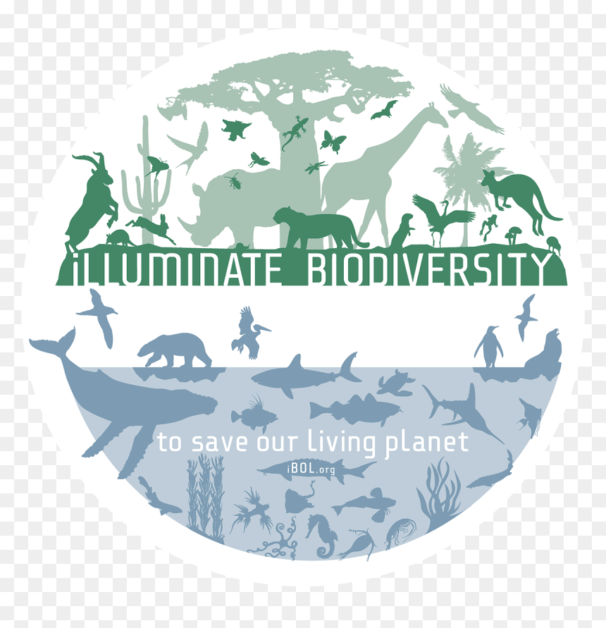 Supporting Biodiversity, HD Png Download - barcode without numbers png