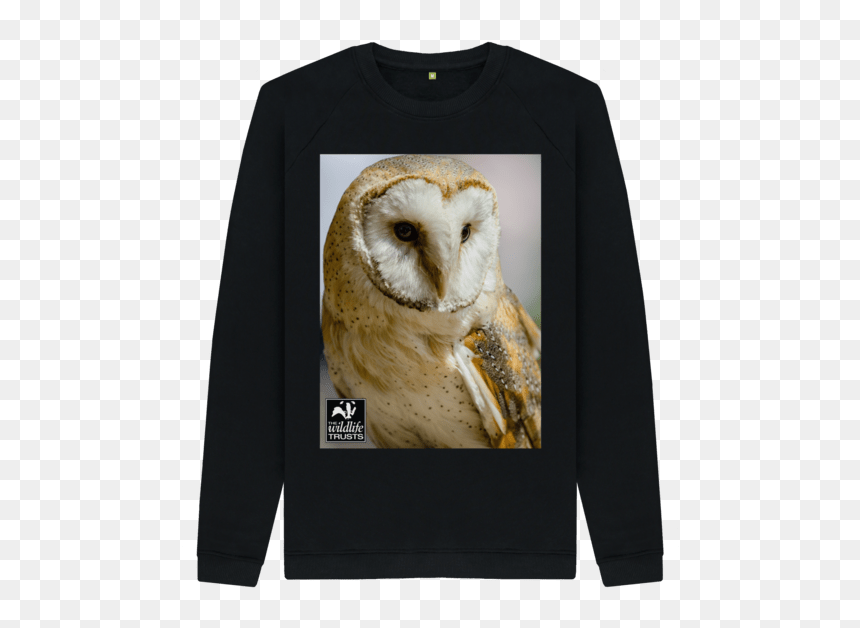 Barn Owl, HD Png Download - barn owl png