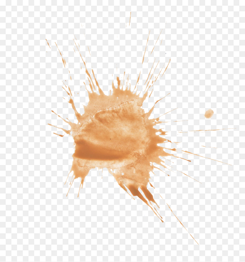 Watercolor Splashes Png Download - Marine Invertebrates, Transparent Png - splashes png