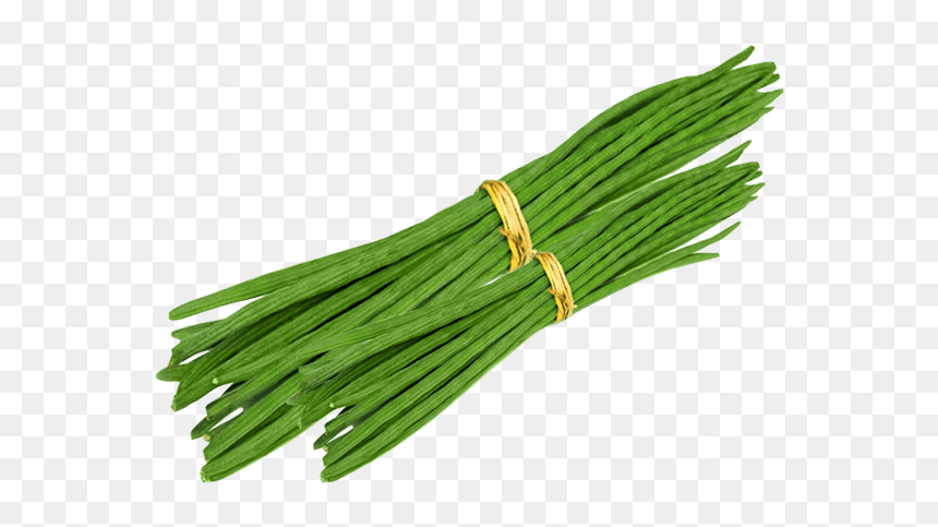 Welsh Onion, HD Png Download - drumstick vegetable png