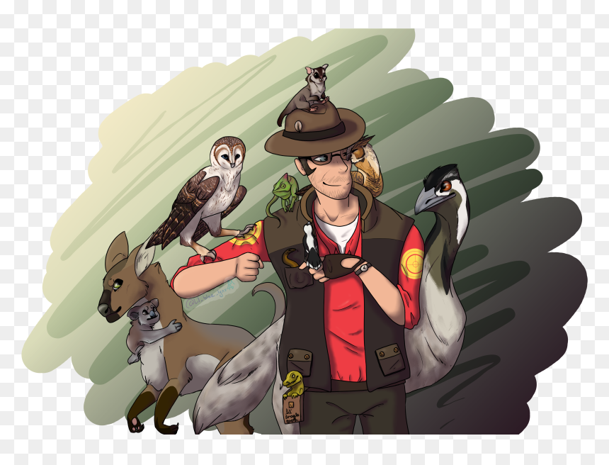 Cartoon, HD Png Download - barn owl png