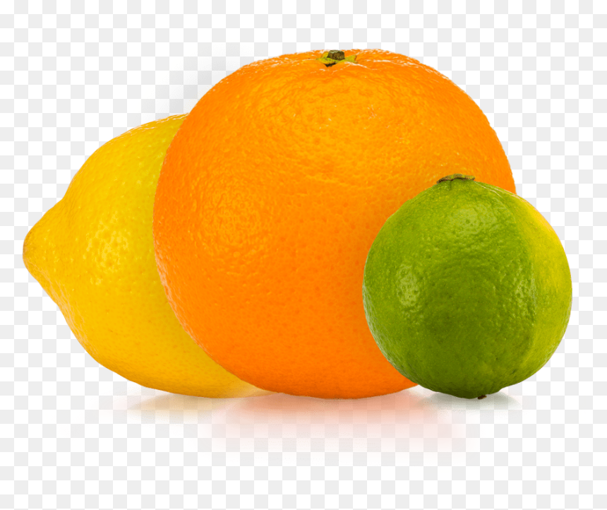 Rangpur, HD Png Download - citrus png