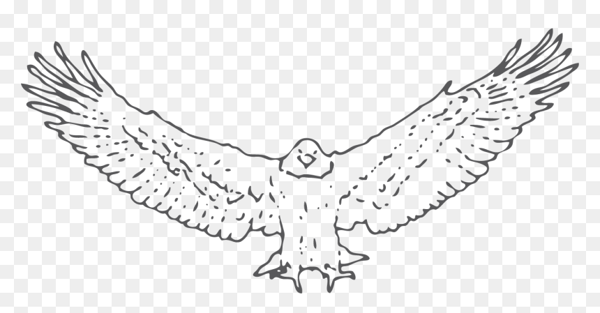 Snowy Owl, HD Png Download - birds fly png