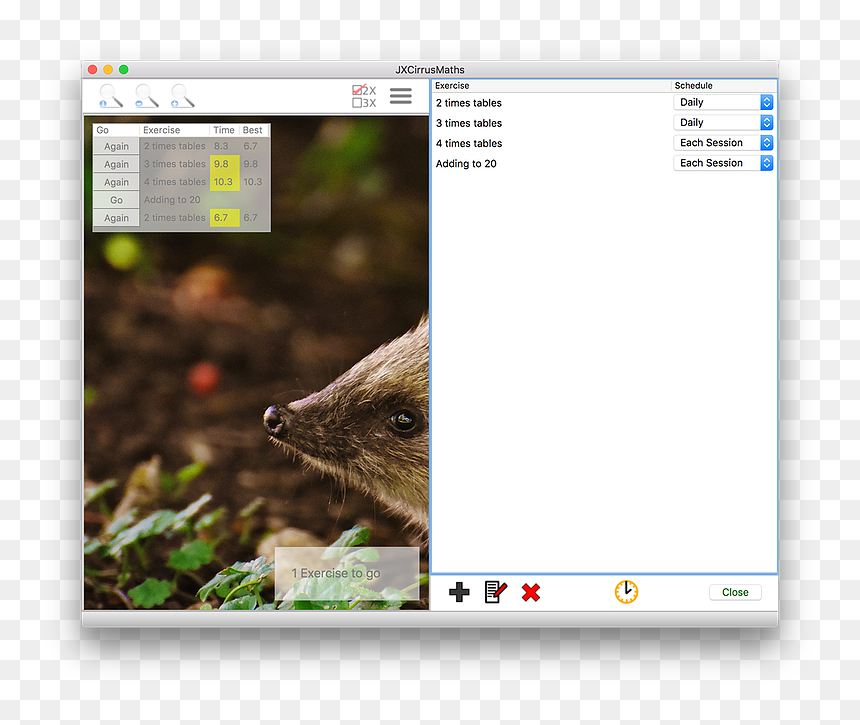 Meaning Of Hedgehog, Hd Png Download - Hedgehog Nz, Transparent Png - maths png
