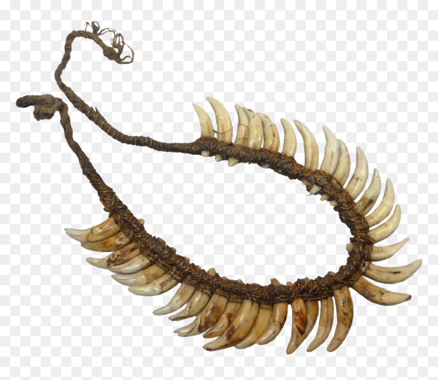Body Jewelry, HD Png Download - necklace png images