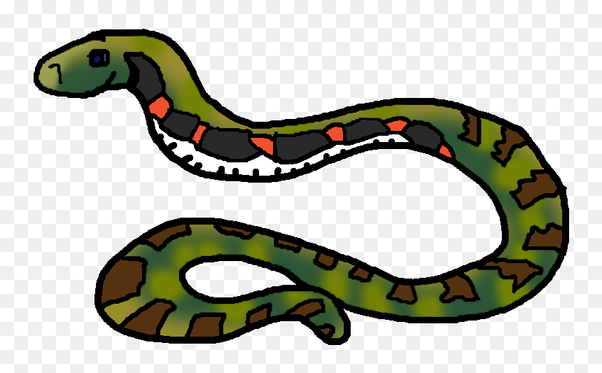 Colki Wiki - Serpent, HD Png Download - snake png image