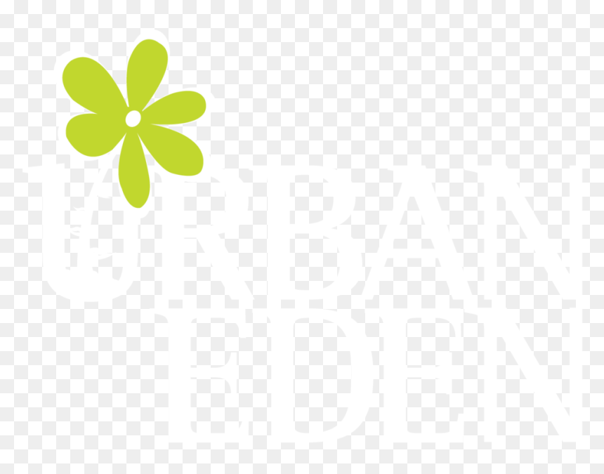 Forest Logo Drop Shadow-04 - Shamrock, HD Png Download - drop shadow png
