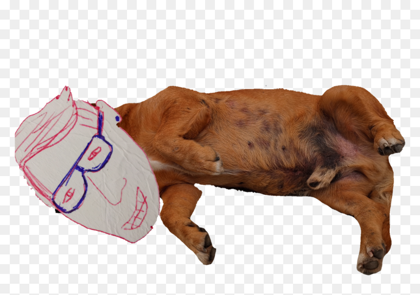 #alf - Cattle, HD Png Download - alf png