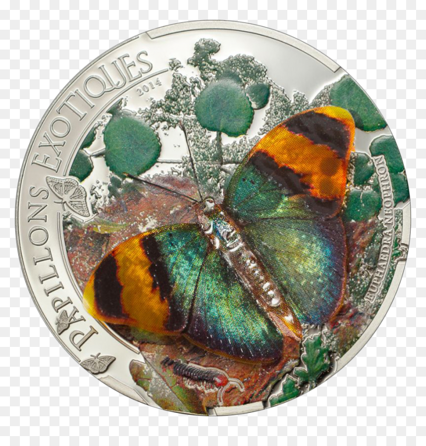 Coin, HD Png Download - 3d butterfly png
