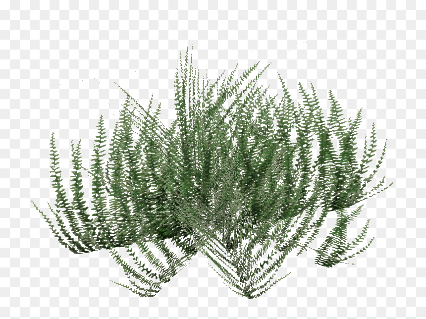 Grass , Png Download - Horsetail Transparent, Png Download - grass ground png