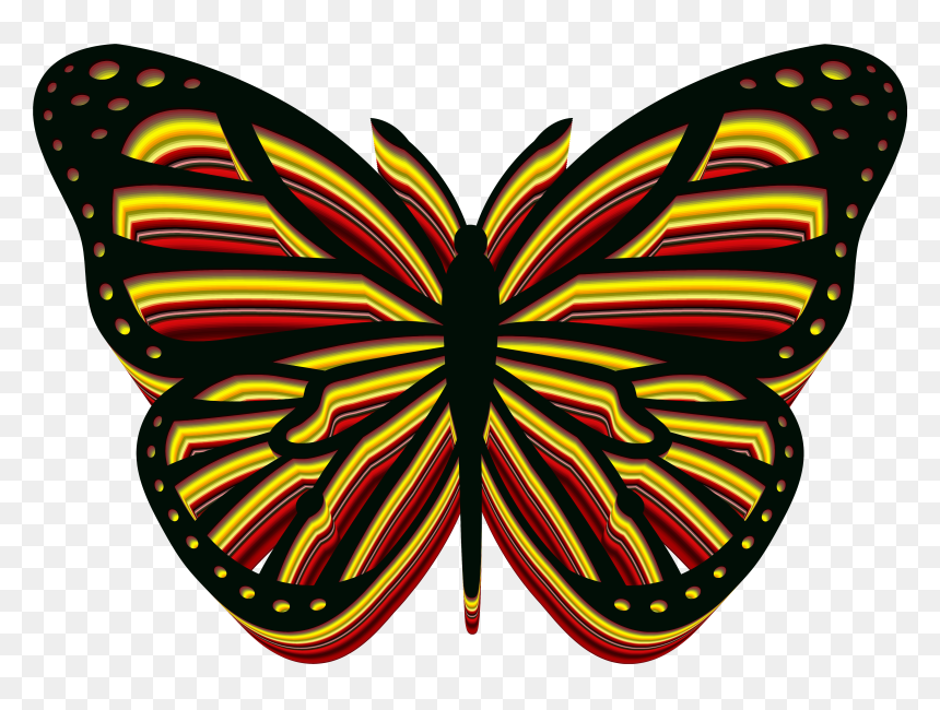 Cartoon Monarch Butterfly Drawing, HD Png Download - 3d butterfly png