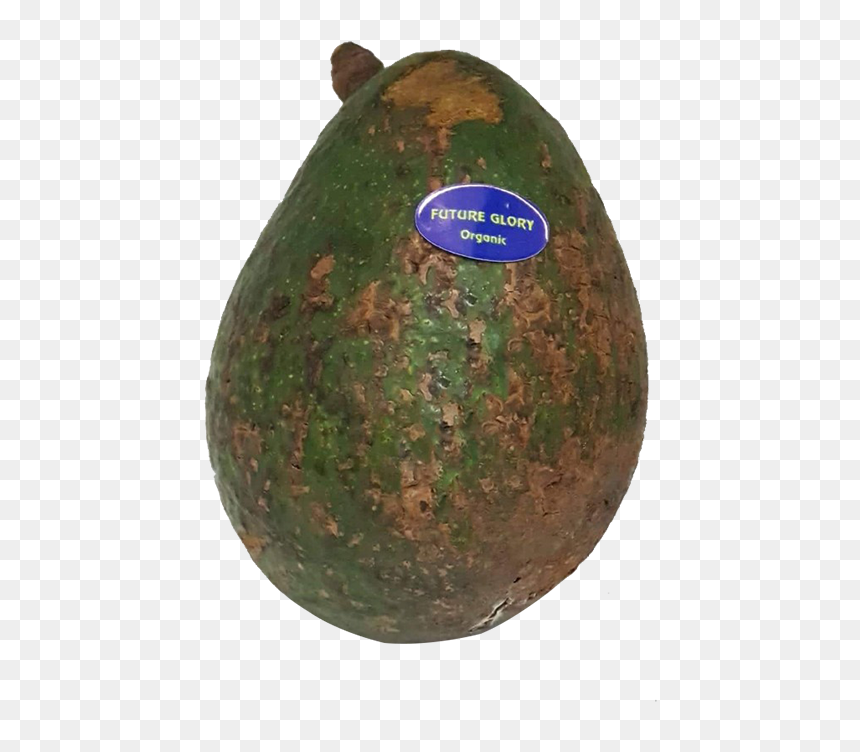 Kiwifruit, HD Png Download - drumstick vegetable png