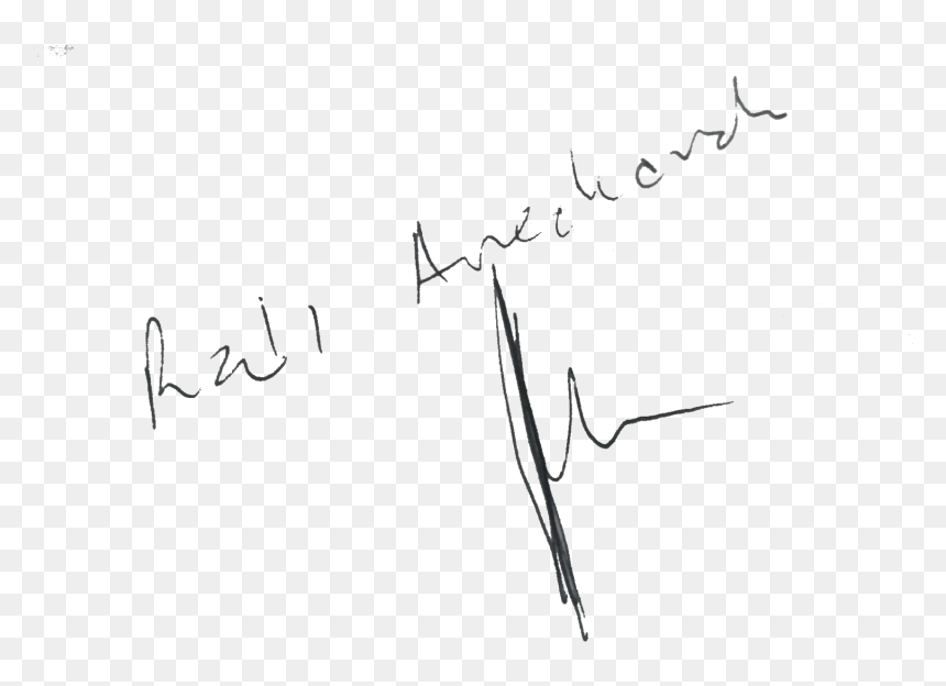 Raúl César Arechavala Firma - Calligraphy, HD Png Download - firma png