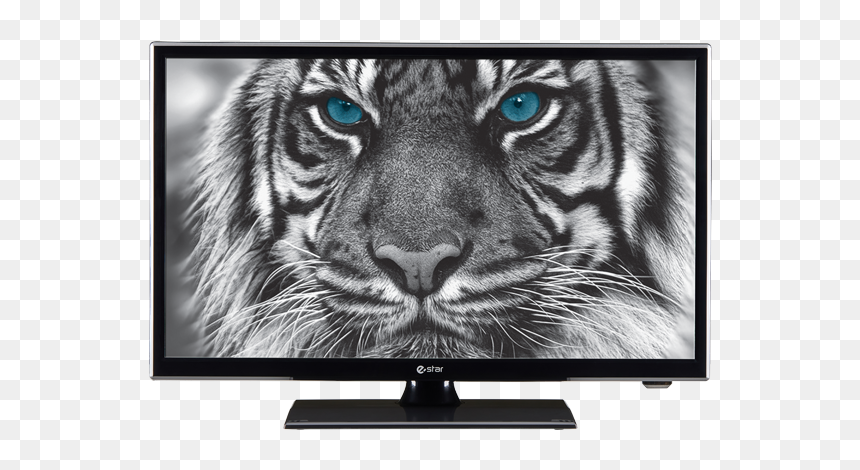Estar Led Tv - Tiger Twitter Header, HD Png Download - wall led tv png