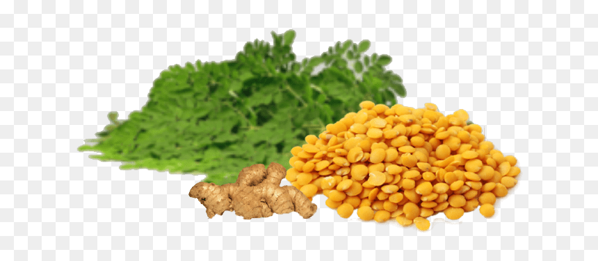 Harada Dali Price In Odisha, HD Png Download - drumstick vegetable png