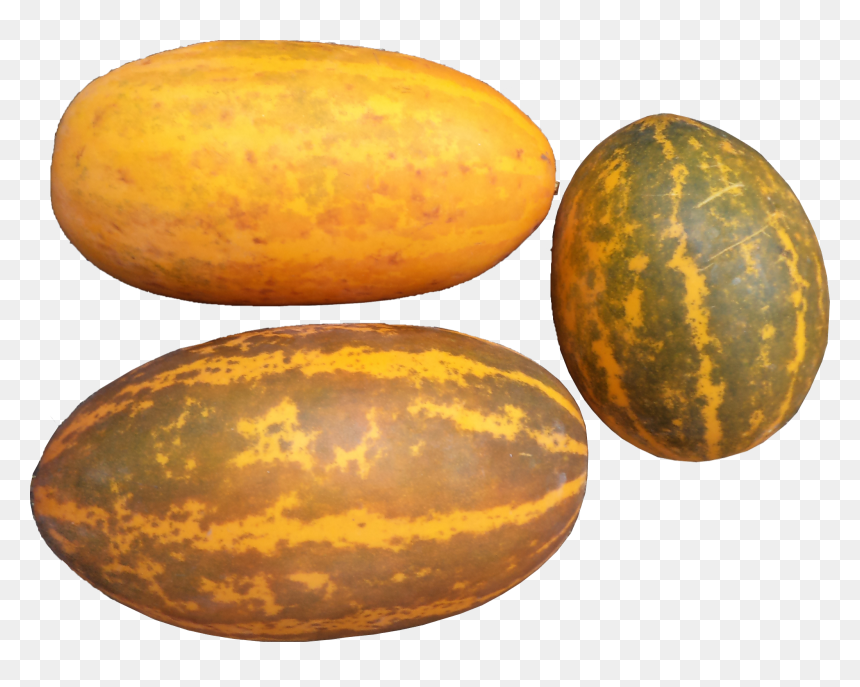 Muskmelon Cucumber, HD Png Download - drumstick vegetable png