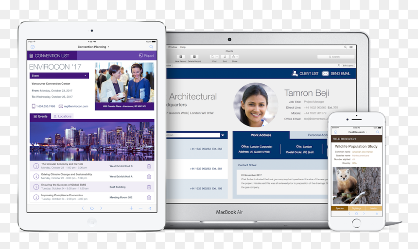 Filemaker Pro, HD Png Download - archer queen png