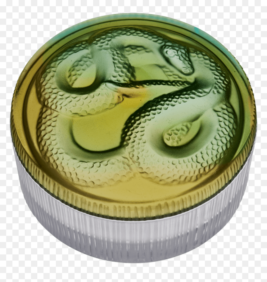 00 Green Snake Box - Boite Serpent Daum, HD Png Download - green snake png