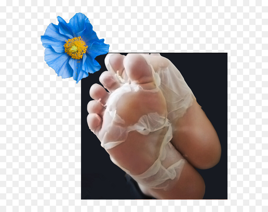 Make An Appointment - Baby Foot Treatment, HD Png Download - baby foot png