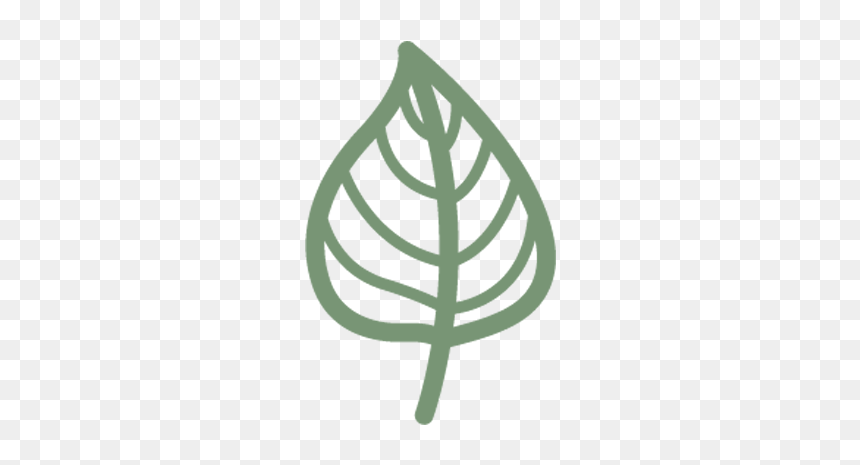 Banyan Leaf Png, Transparent Png - banyan leaf png