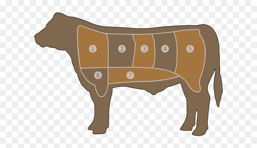 Beef Vector Fish Meat - Wholesale And Retail Cuts Of Beef Diagram, HD Png Download - fish meat png