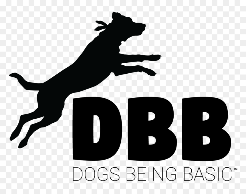Transparent Jumping Dog Png - Dog Catches Something, Png Download - dog logo png