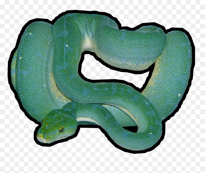 Transparent Eel Clipart - Snake, HD Png Download - green snake png