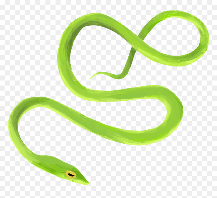 Vine Snake, HD Png Download - green snake png
