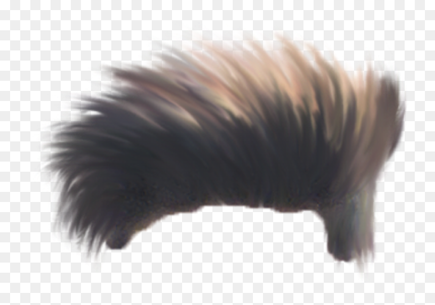 Top 5 Hair Png Image - Portable Network Graphics, Transparent Png - natural hair png