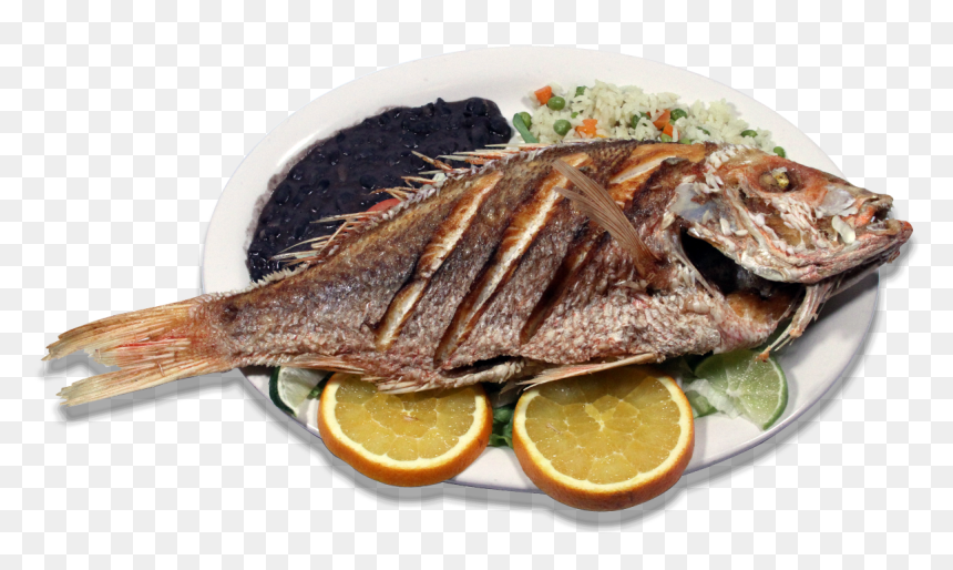 Pacific Saury, HD Png Download - coctel de camaron png