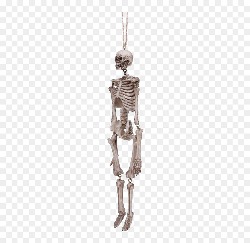 Hanging Skeleton Statue - Skeleton, HD Png Download - skeleton.png