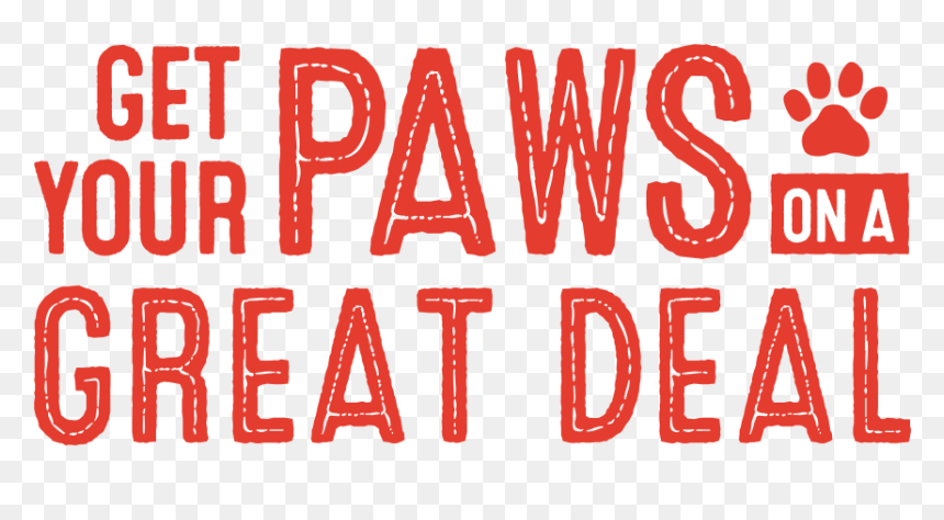 Transparent Secret Life Of Pets Png - Carmine, Png Download - the secret life of pets png