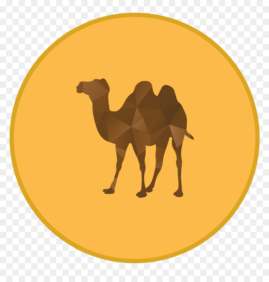 Desert Oasis Png - Yalla Let's Talk, Transparent Png - oasis png