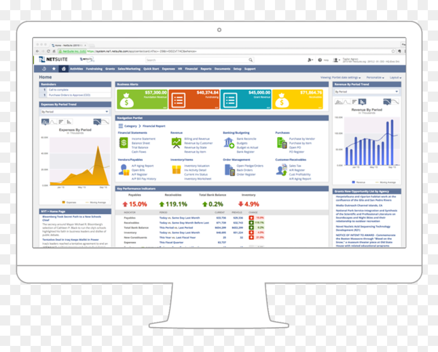 Embedded Analytics - Netsuite Sales Manager Dashboard, HD Png Download - dashboard png