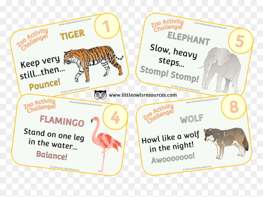 Zoo Activity Challenge Cover - Pet Animal Movement Cards, HD Png Download - activity png