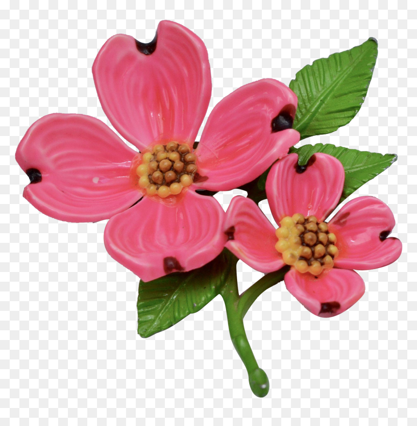 Bright Pink Enamel Dogwood Flower Brooch - Pink Dogwood Transparent Background, HD Png Download - dogwood png
