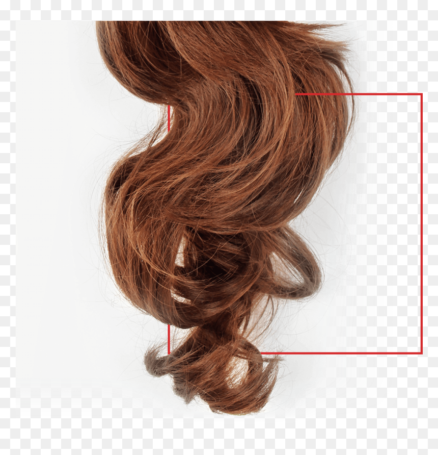 Peluca - Lace Wig, HD Png Download - peluca png
