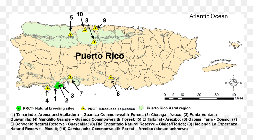 Puerto Rico En Blanco , Png Download - Farms In Puerto Rico Map, Transparent Png - puerto rico map png