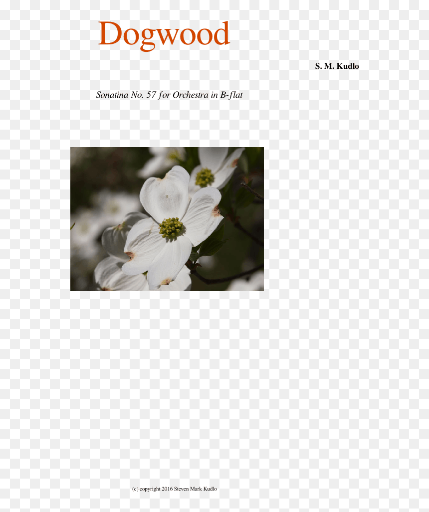 Dogwood Sheet Music For Flute, Clarinet, Oboe, Bassoon - Evergreen Rose, HD Png Download - dogwood png
