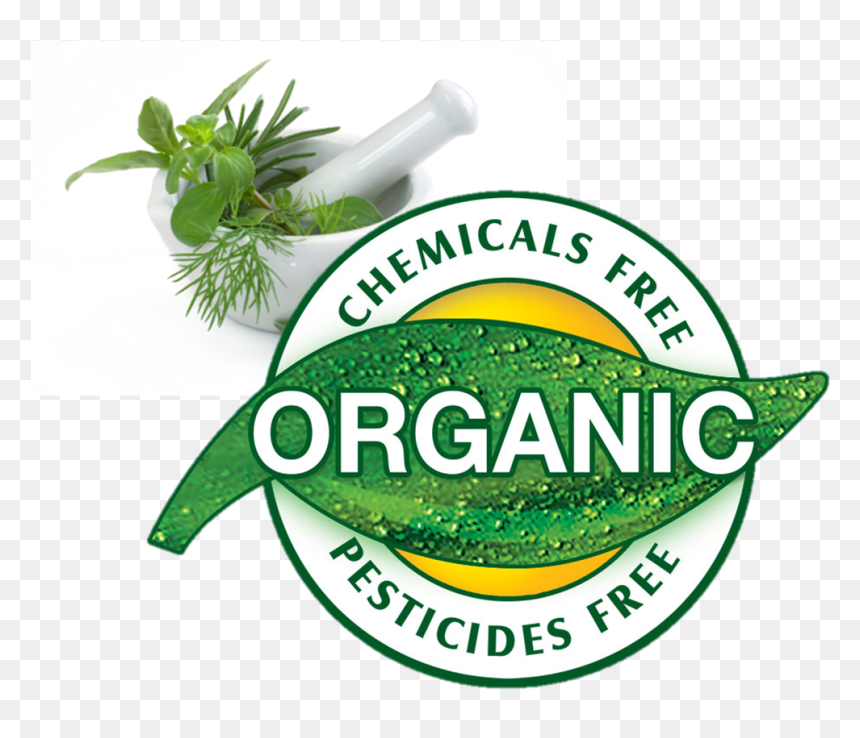 Organic Products To Stop Hair Loss - Logos For Organic Products, HD Png Download - natural hair png