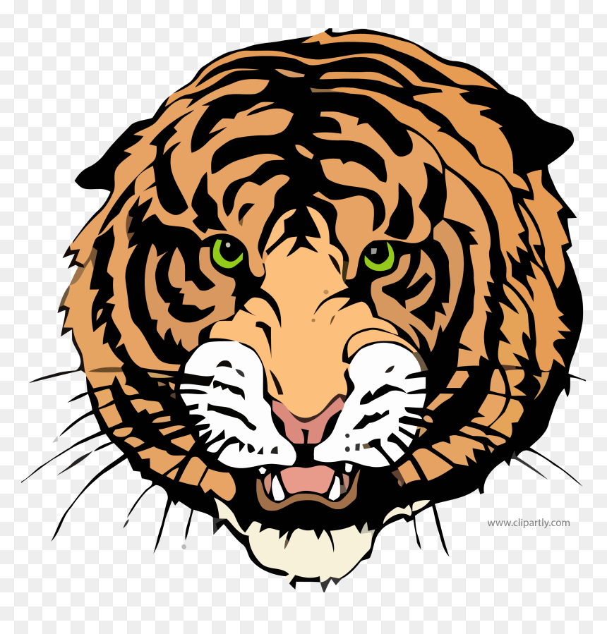 Transparent Other Clipart - Mullan Tigers, HD Png Download - tigers png