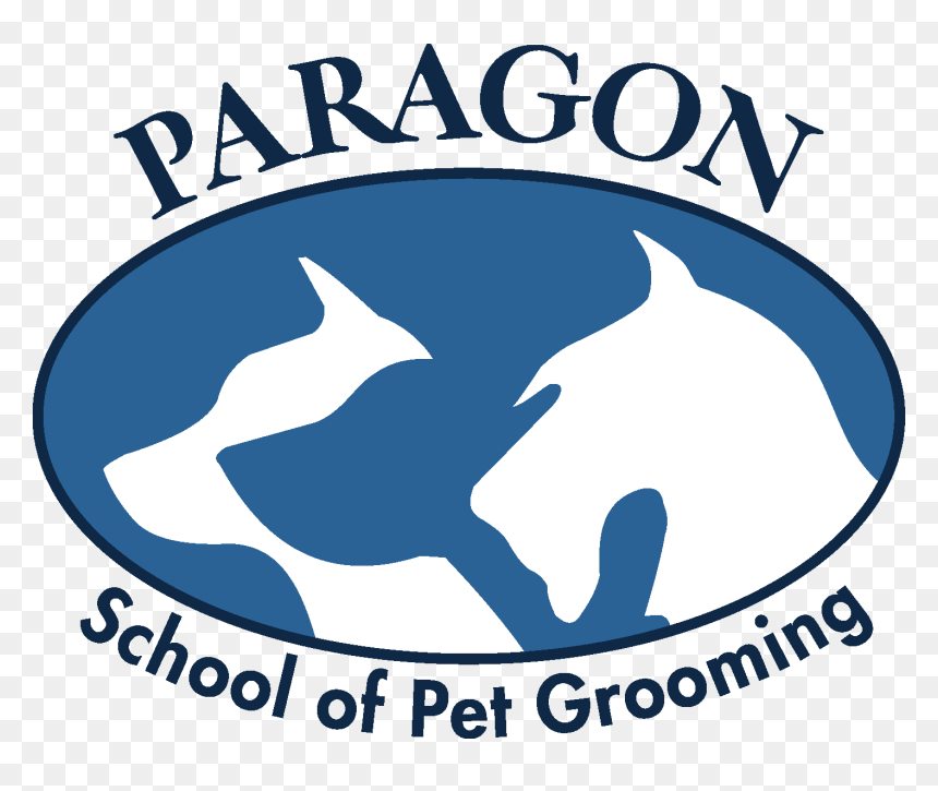 Paragon Logo Web - Paragon School Of Pet Grooming, HD Png Download - paragon png