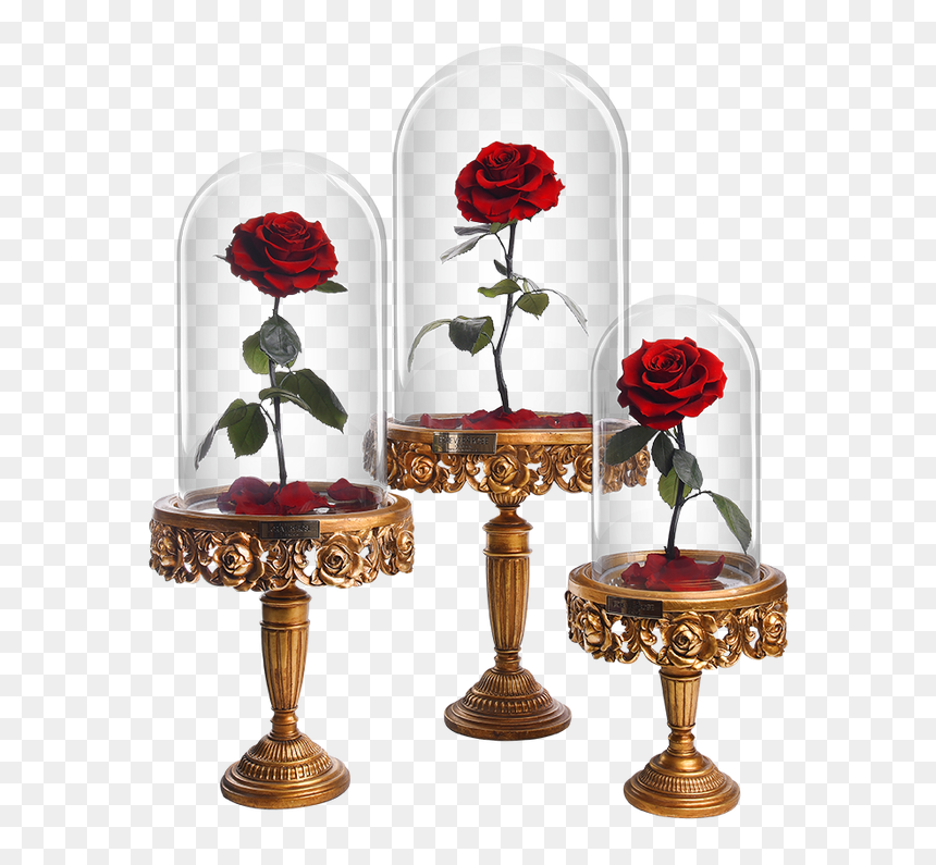 Bella Victorian Collection - Garden Roses, HD Png Download - victorian png