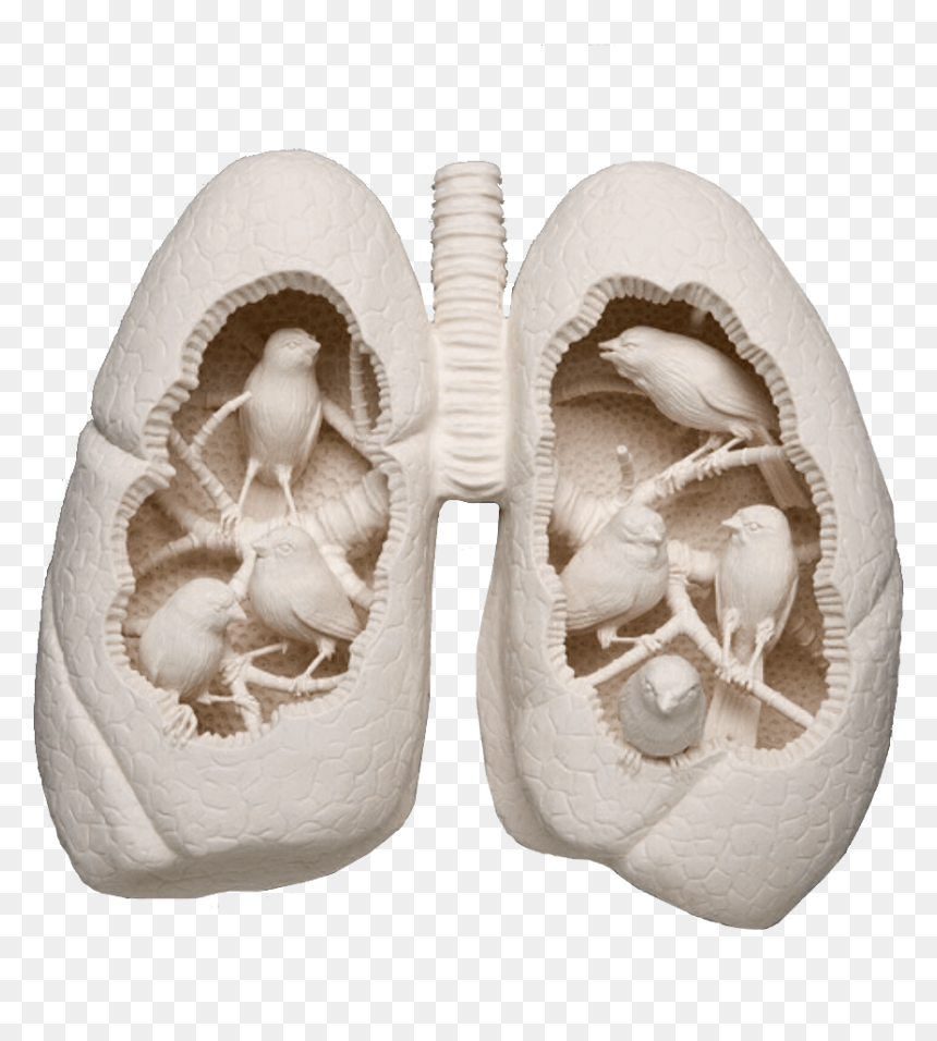 Transparent Lit Fuse Png - Kate Macdowell, Png Download - fuse png