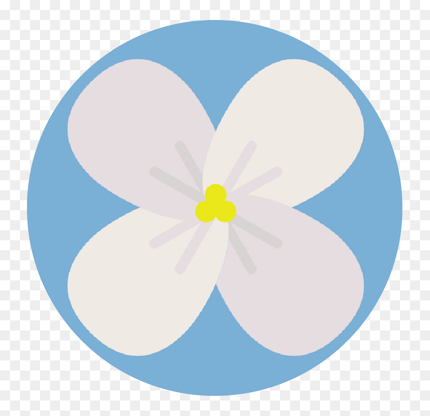 Brookelogo - Flower, HD Png Download - dogwood png