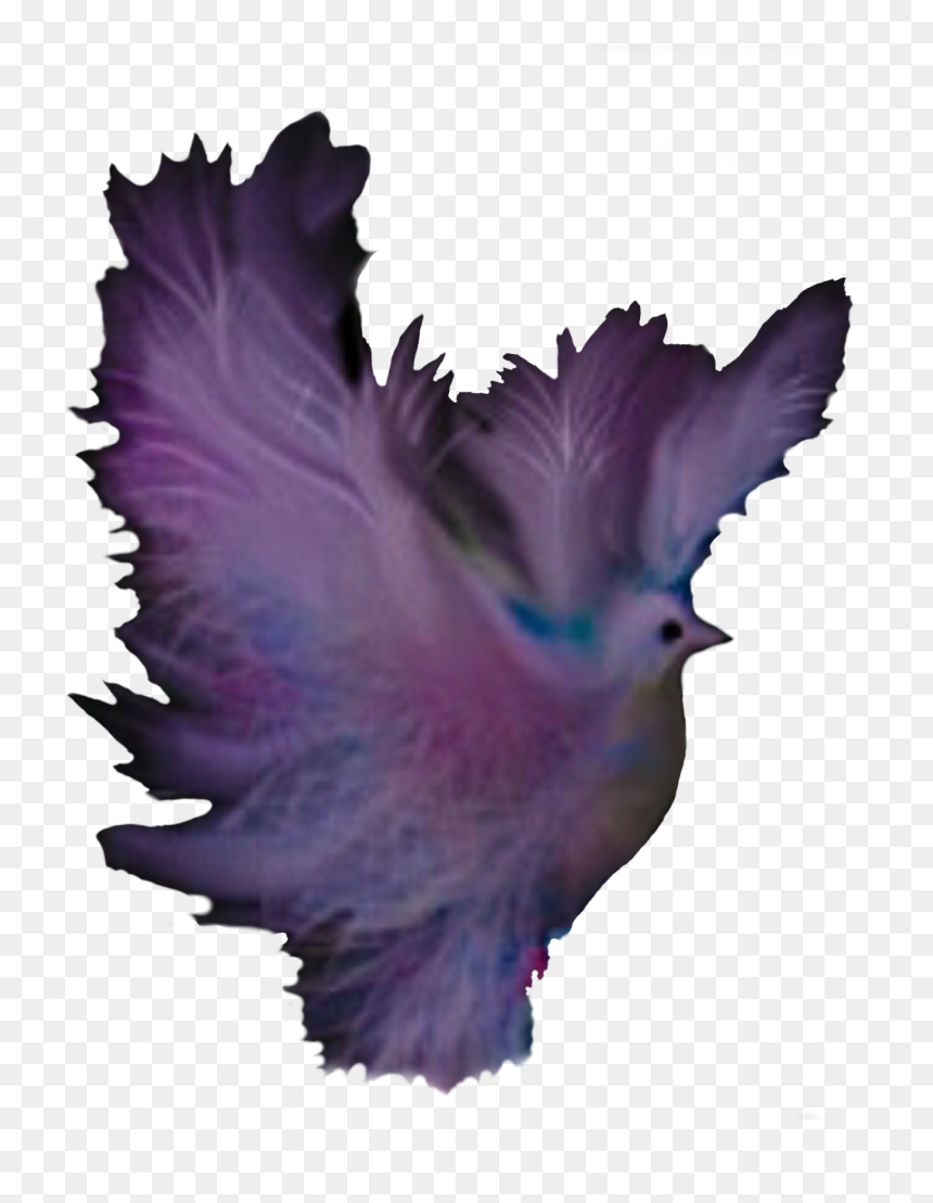 Dove Fantasy Multicolor Dreams Clip Arts - Portable Network Graphics, HD Png Download - dreams png